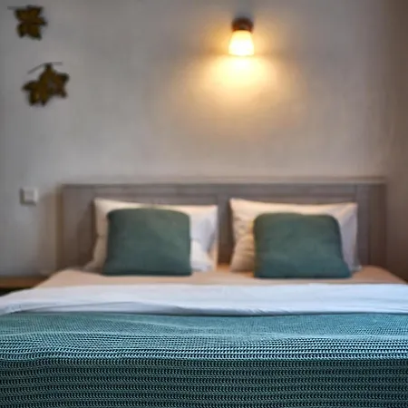 1881 Brasov Old Town Apartments-2